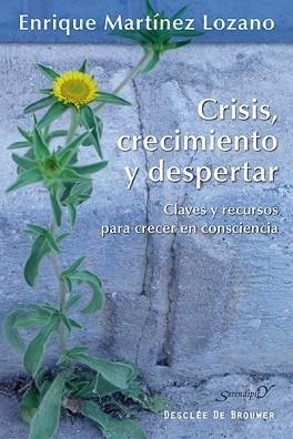 CRISIS, CRECIMIENTO Y DESPERTAR | 9788433026323 | MARTÍNEZ LOZANO, ENRIQUE